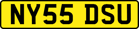NY55DSU