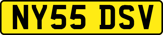 NY55DSV