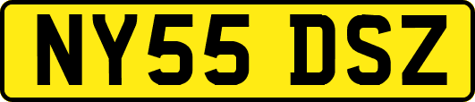 NY55DSZ