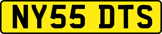 NY55DTS