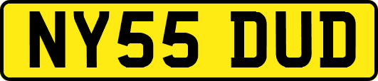 NY55DUD