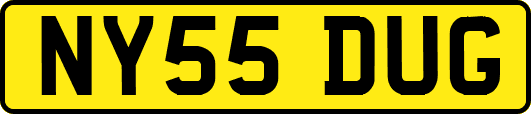 NY55DUG