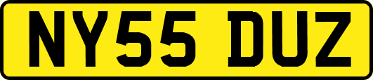 NY55DUZ