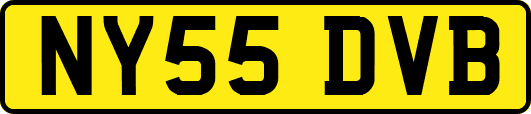 NY55DVB