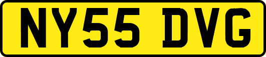 NY55DVG