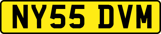 NY55DVM