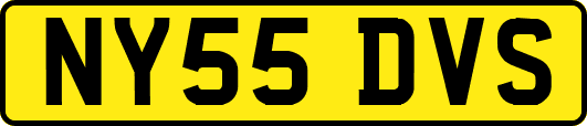 NY55DVS