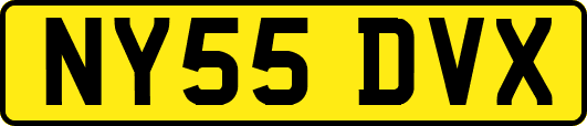 NY55DVX