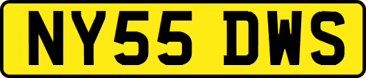 NY55DWS
