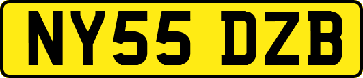 NY55DZB