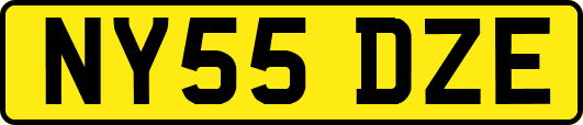 NY55DZE