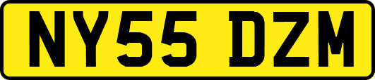 NY55DZM