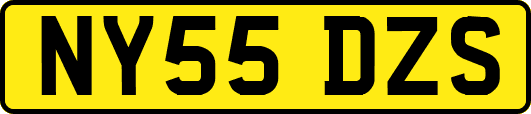 NY55DZS