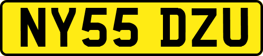 NY55DZU