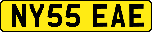 NY55EAE
