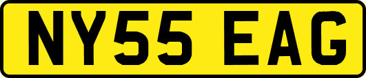 NY55EAG