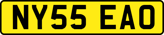 NY55EAO
