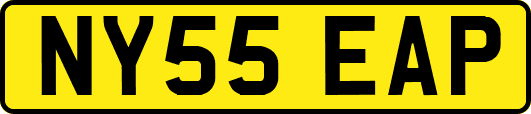 NY55EAP
