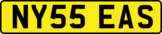 NY55EAS