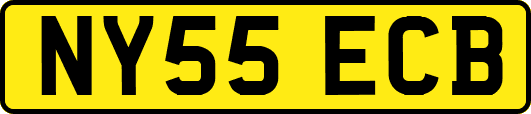 NY55ECB
