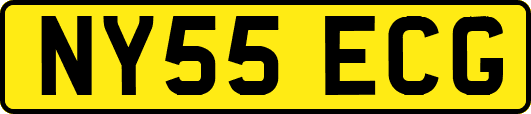 NY55ECG