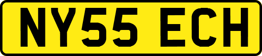 NY55ECH
