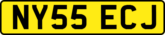 NY55ECJ