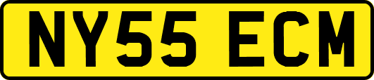 NY55ECM