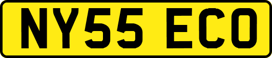 NY55ECO