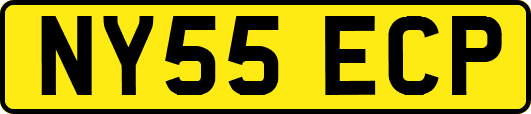 NY55ECP