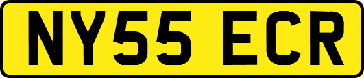 NY55ECR