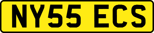 NY55ECS