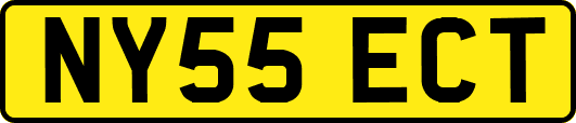 NY55ECT