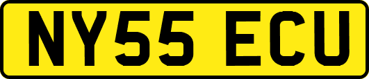NY55ECU