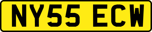 NY55ECW