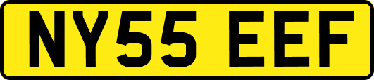 NY55EEF
