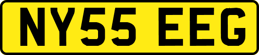 NY55EEG