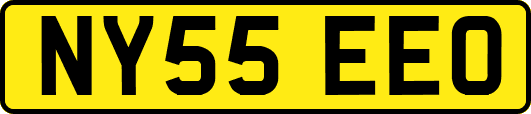 NY55EEO