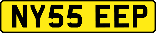 NY55EEP