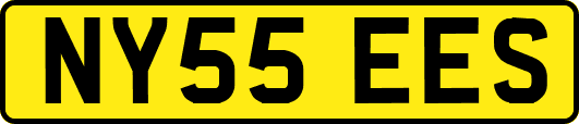 NY55EES