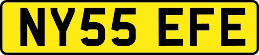 NY55EFE