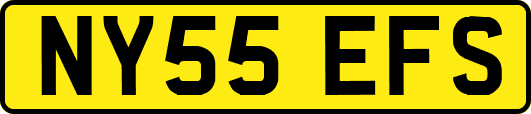 NY55EFS