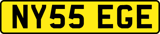NY55EGE