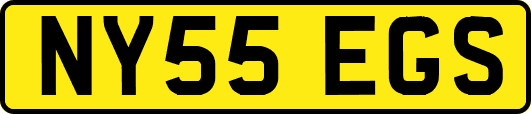 NY55EGS