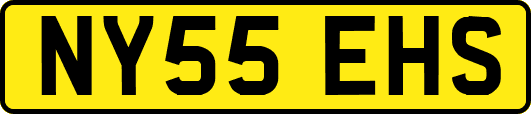 NY55EHS