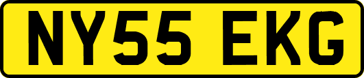 NY55EKG