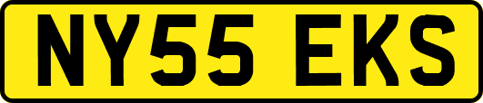 NY55EKS