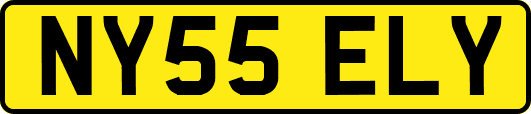 NY55ELY