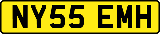NY55EMH