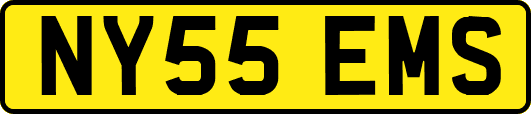 NY55EMS
